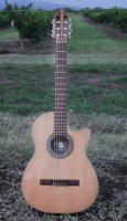 Cutaway Algarrobo B1